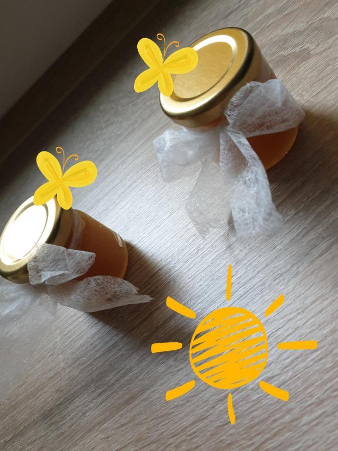 Sweet Honey Mieszkanie W Plocku Apartamento Exterior foto